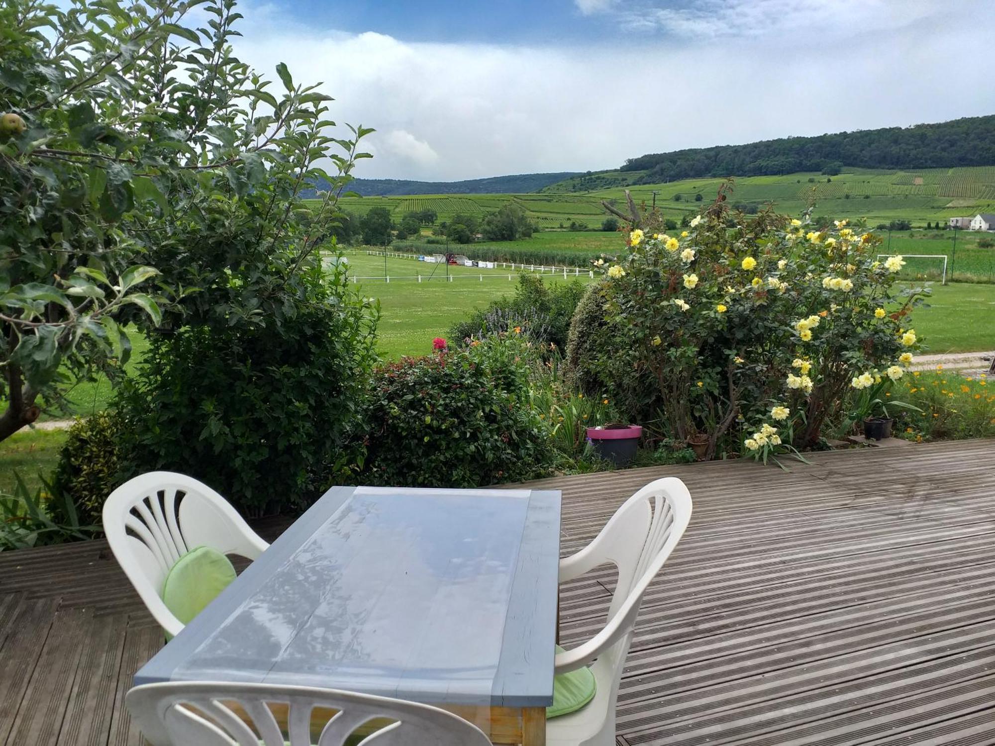 Ferienwohnung Chez Le Vigneron Westhalten Exterior foto